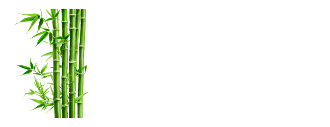 TAKESUMI - Carbón de Bambú Japonés